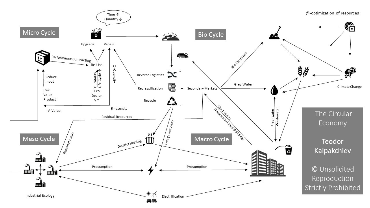 The Circular Economy.jpg